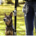 The Sustainable People - Hundepose opbevaring med karbinlås The Sustainable People - Hundepose opbevaring med karbinlås